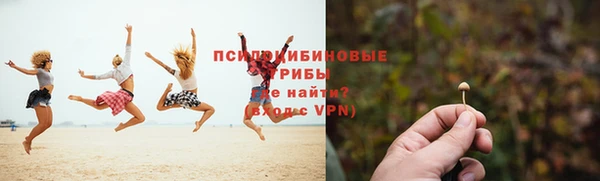 2c-b Абдулино