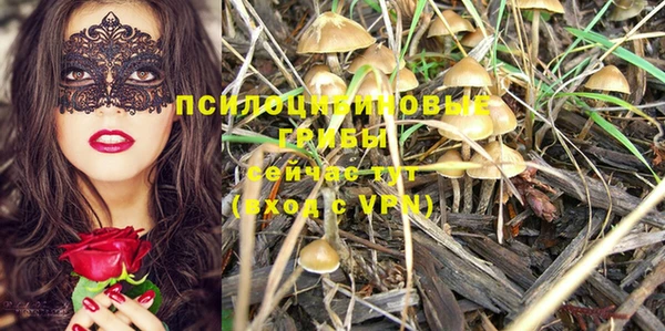 2c-b Абдулино