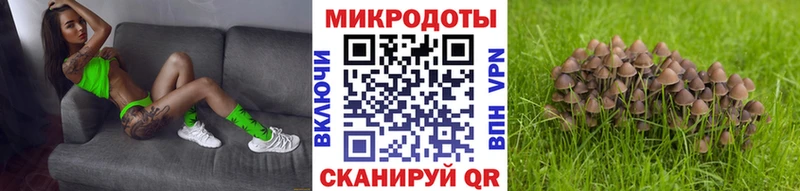 Галлюциногенные грибы Cubensis  хочу наркоту  Ступино 