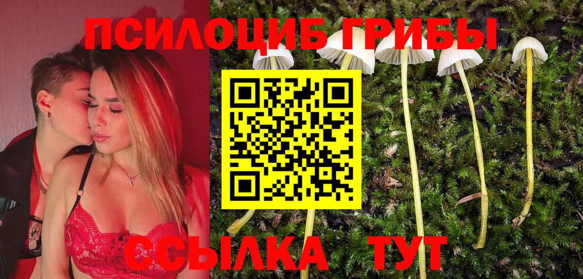Ступино  Галлюциногенные грибы MAGIC MUSHROOMS  Псилоцибиновые грибы Magic Shrooms  как найти   Вход с VPN 