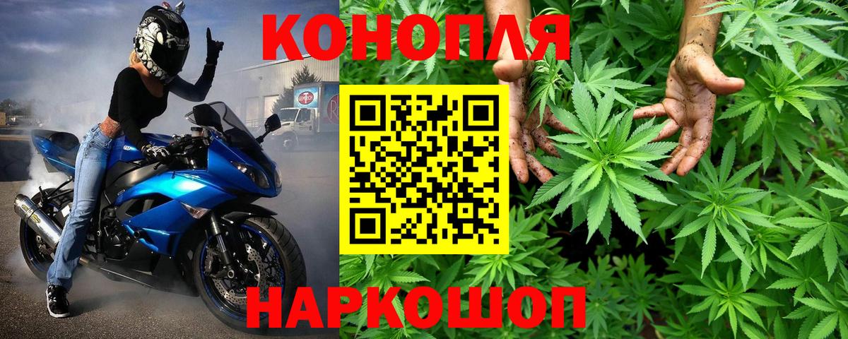 Бошки Шишки планчик Ступино